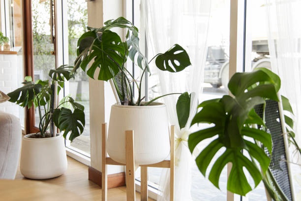  Creative ways to decorate with greenery