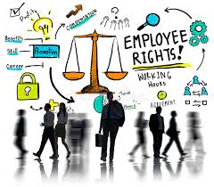 	Workplace Rights and Responsibilities Every Employee Should Know