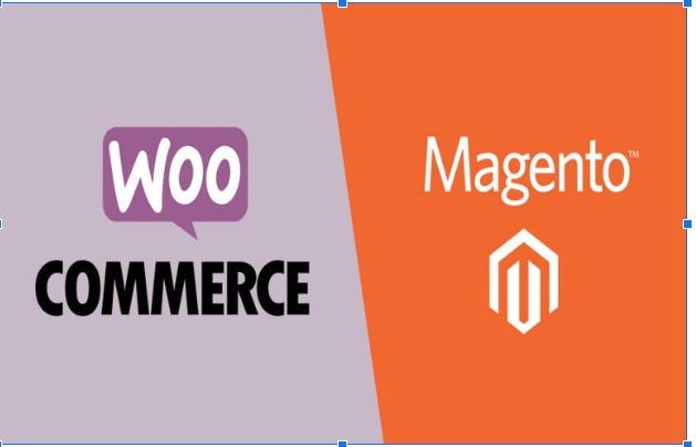 	Magento or WooCommerce: Which Is Better for Your Store?