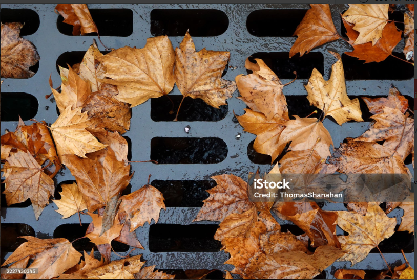 Stop Basement Leaks by Addressing Gutter Problems Early