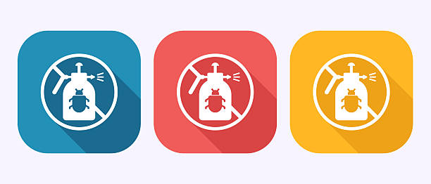 	Preventing Infestations Before They Happen: Proactive Pest Management Tips