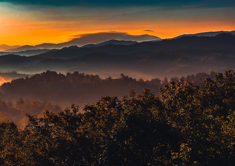 	The Art of Minimalist Travel: Going Farther with Less