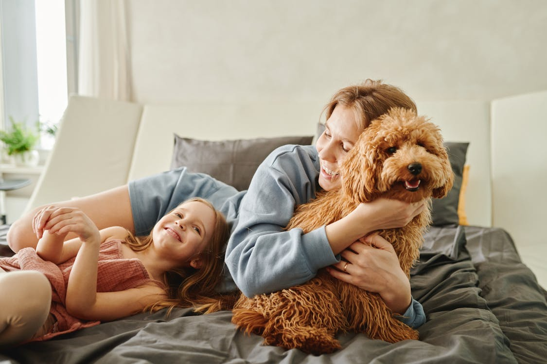 	6 Ways to Strengthen the Bond With Your Pet
