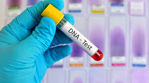 	How Accurate Is Sibling DNA Testing? Everything You Need to Know