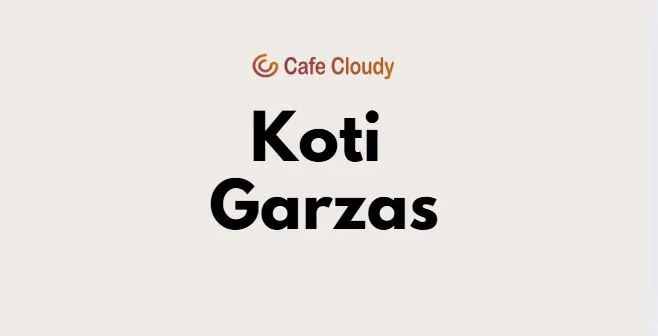 Youngest influencer Koti Garzas' net worth