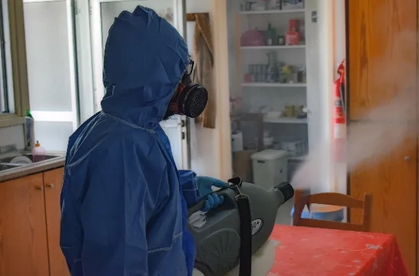 How Small Pest Problems Lead to Costly Home Repairs