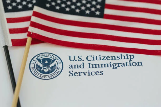 What are the pros and cons of dual Irish and US citizenship?