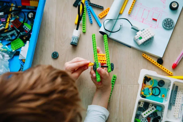 What Role Will Education Play In Society?