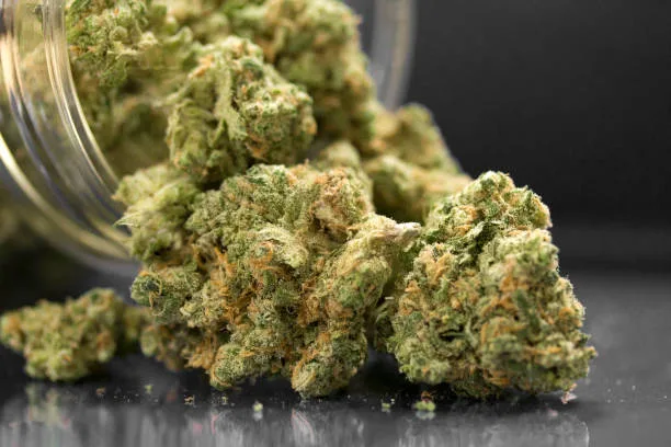 What are some advantages & disadvantages of taking Marijuana?