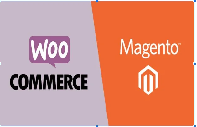 	Magento or WooCommerce: Which Is Better for Your Store?