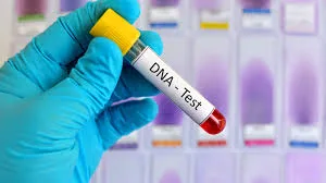 How Accurate Is Sibling DNA Testing? Everything You Need to Know