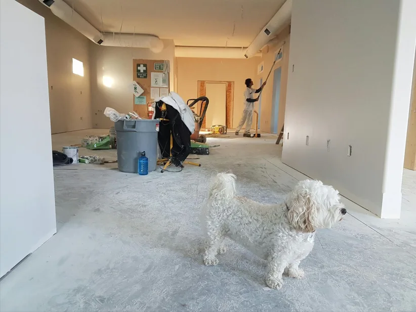Home Renovations That Boost Comfort Without Breaking the Bank